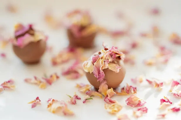 Casino Fantastic Spins Android/iOS-app